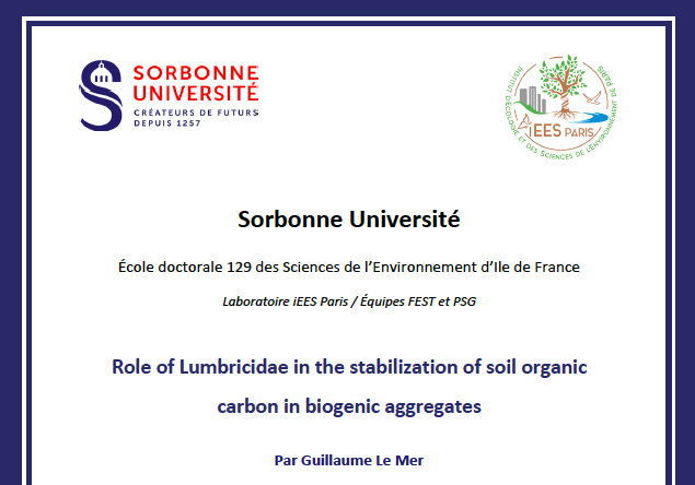 Bravo à @lmrguillaume : manuscrit de thèse envoyé aux membres du jury! @iEESParis @ParisSoil @CorneliaRumpel