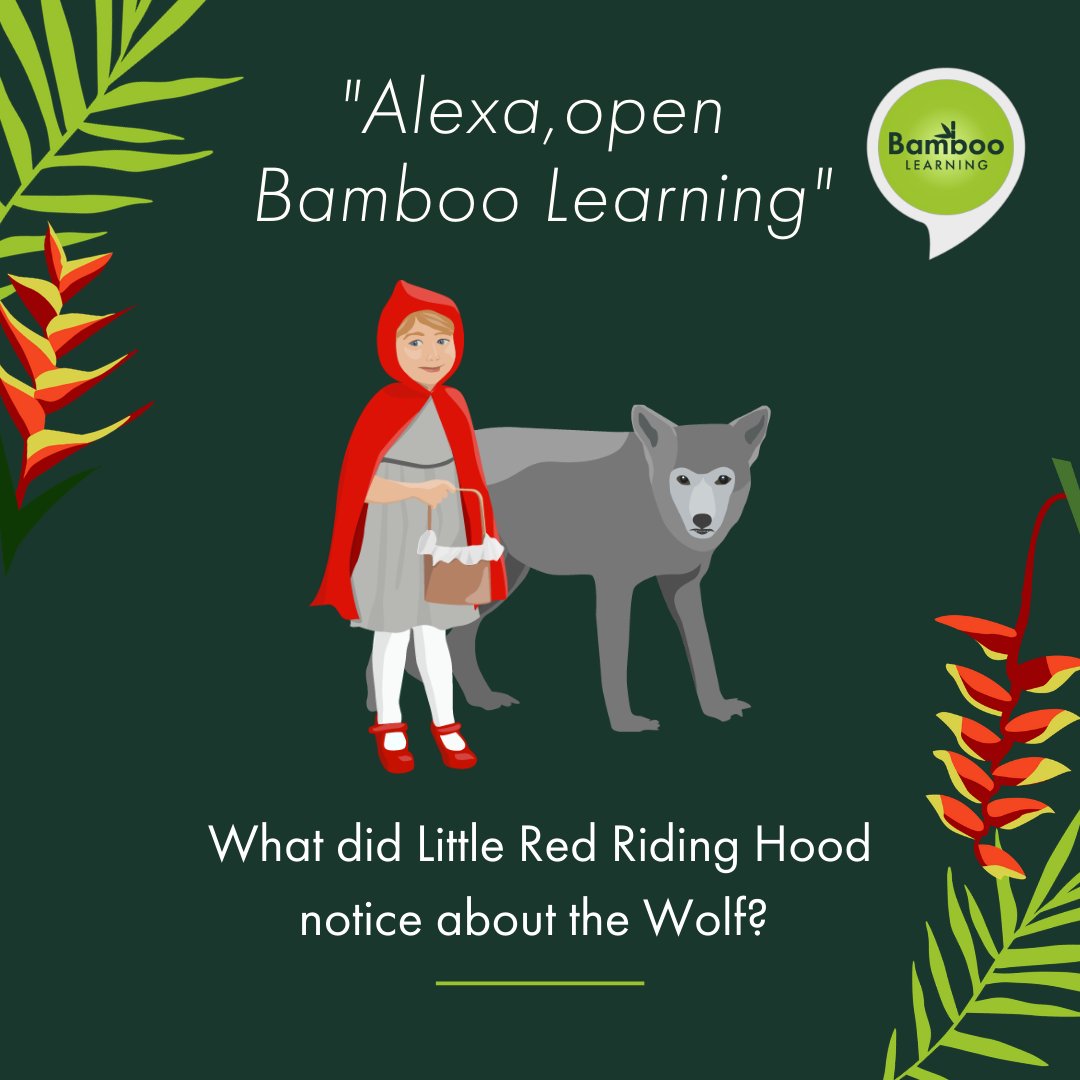 learnwithbamboo's tweet photo. Do your kids like fairy tales?

#parents #todaysparents #education #kids #kidsactivities #words #vocabulary #english books #bookstagram #book #booklover #reading #bookworm  @onparenting @TheMotherCo @TodaysMoms @Netmums @TheBloggess @alexa99 @amazonfiretv @TheBookMaven  @BookRiot https://t.co/2aa1Uq6D4E