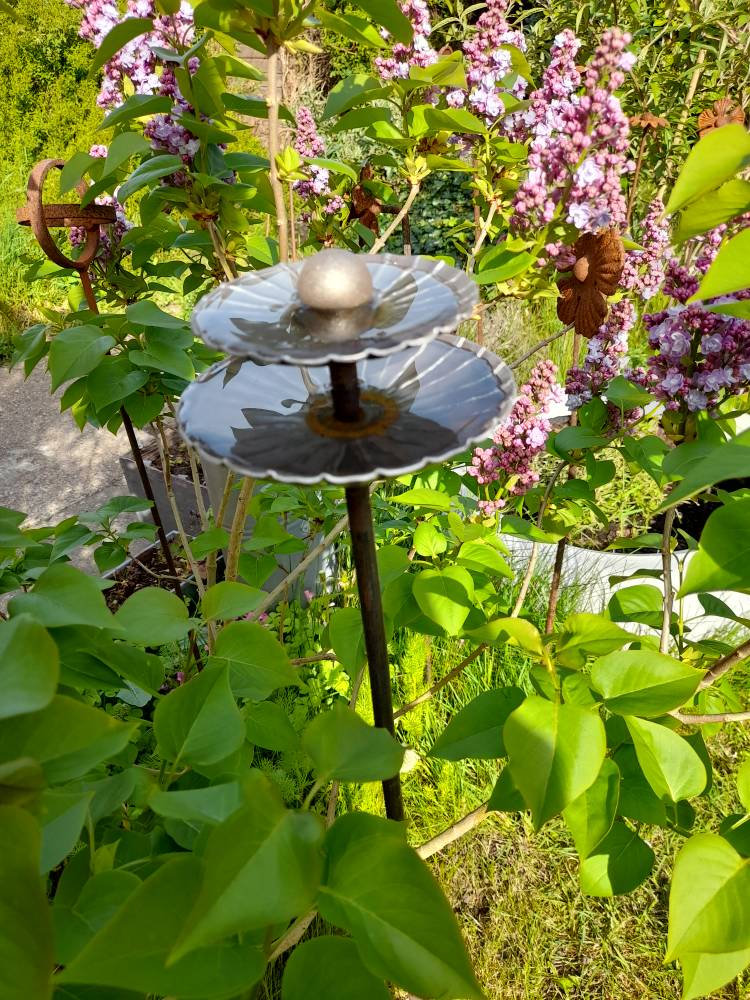 Excited to share the latest addition to my #etsy shop: Decorative 2 Tier Rain Catcher Plant Support - Plant Stake - Garden Supports - Dragonfly - Handmade - Steel-bees- Supports -present-gift etsy.me/3bL6NcB #plantsupports #metalsupports #gardening #rustedsuppo