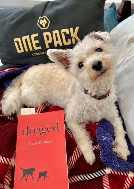 ignitebooks.co.uk/products-page/…  Fancy taking a chance on a novel from a small independent publisher?  Go on you might enjoy it :)  Henry and Holly are both fans.