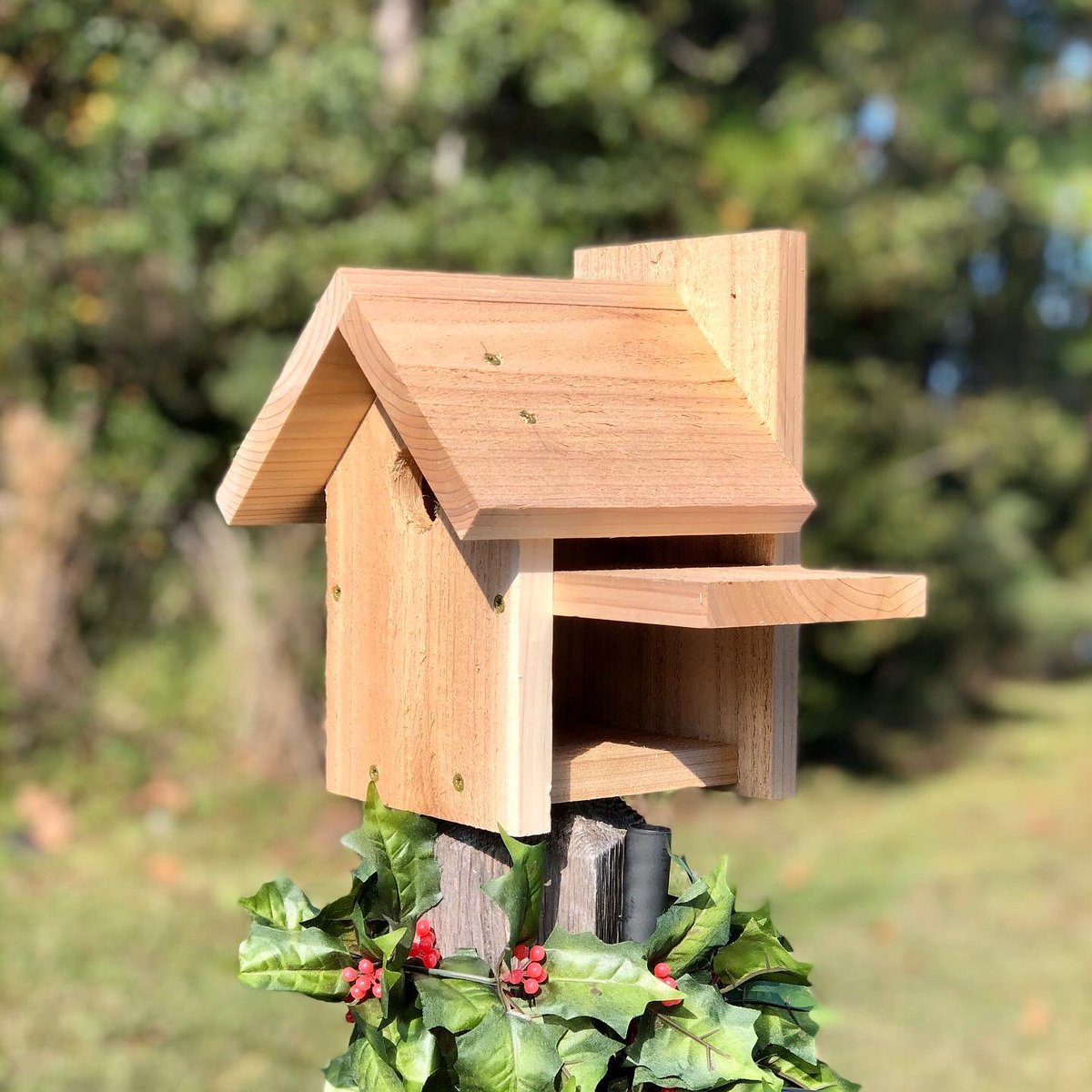 WoodInnHouses's tweet photo. Premium Inland Side Opening Cedar Gable Roof Wren House by https://t.co/biIkRiZThl #woodinnbirdhouses #bird #birds #birdwatching #BirdsSeenIn2021 #birdphotography #birding #birdhouse #wren #NaturePhotography #nature #outdoors #photography #conservation #nest #backyardwildlife #do https://t.co/gPTbe5LmuW