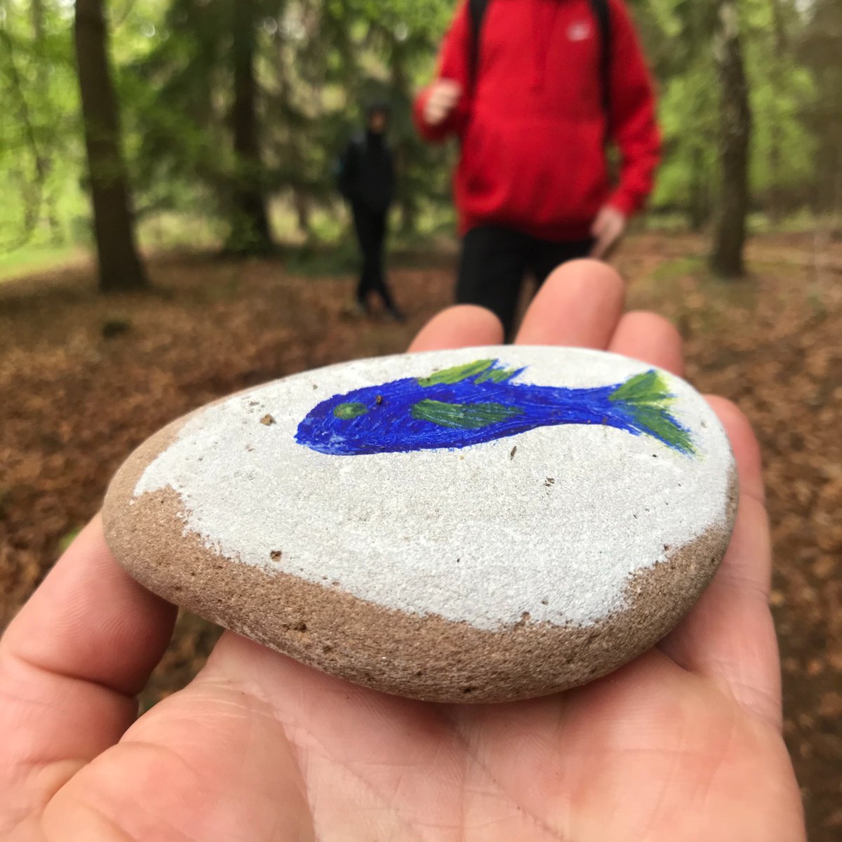 AsnHigh's tweet photo. EHS's John Muir Award group photographs of their time discovering, exploring, conserving and sharing Maynes wood beside the school https://t.co/O4JrKnEvDN