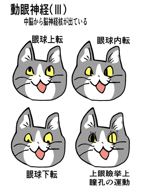 看護学生のtwitterイラスト検索結果 古い順