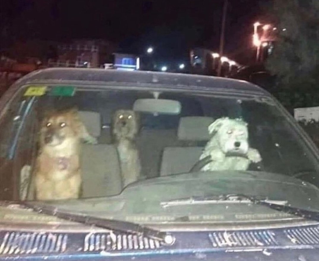 momoshttps's tweet image. 