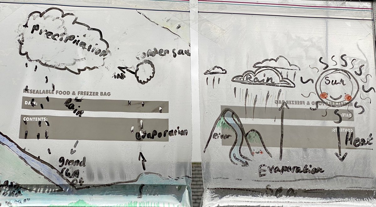 hackforthschool's tweet image. Investigating the water cycle:inside and out! #primaryscience #mixedageteaching