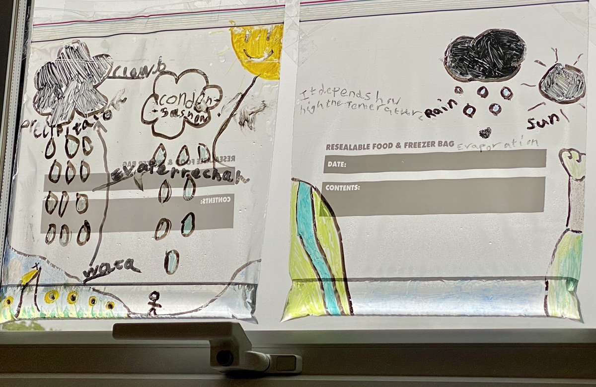 hackforthschool's tweet image. Investigating the water cycle:inside and out! #primaryscience #mixedageteaching