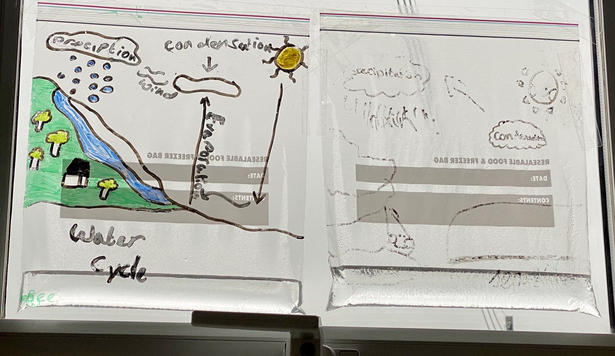 hackforthschool's tweet image. Investigating the water cycle:inside and out! #primaryscience #mixedageteaching