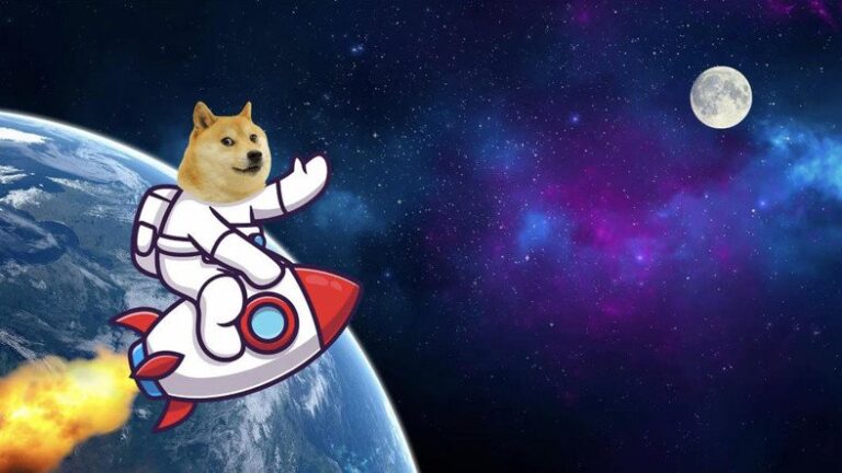 CooperAppCol's tweet image. #Doge ...at the moon