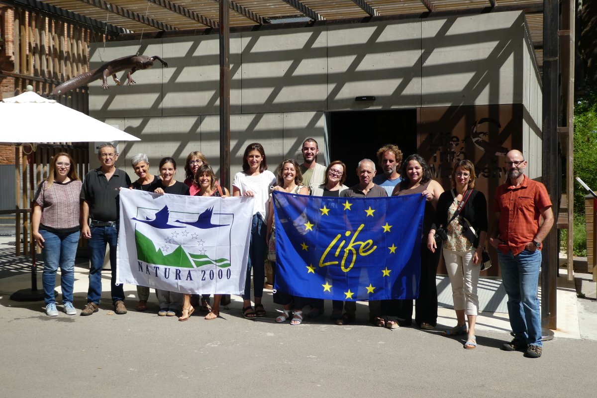 #Happybirthdaylife 🥳💪🤩 
Let's celebrate the 2⃣9⃣birthday of the @LIFEprogramme and the #Natura2000Day 🦋
with photos from @LifeAlnus, @LifeTrito and LIFE HEAT-R @AEInnova 
#UnitedLIFEPeople #Neemo