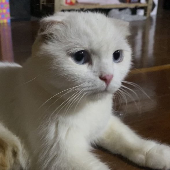 เปนหม่ามิได้ไงยังทำหน้าอมข้าวอยู่เลย