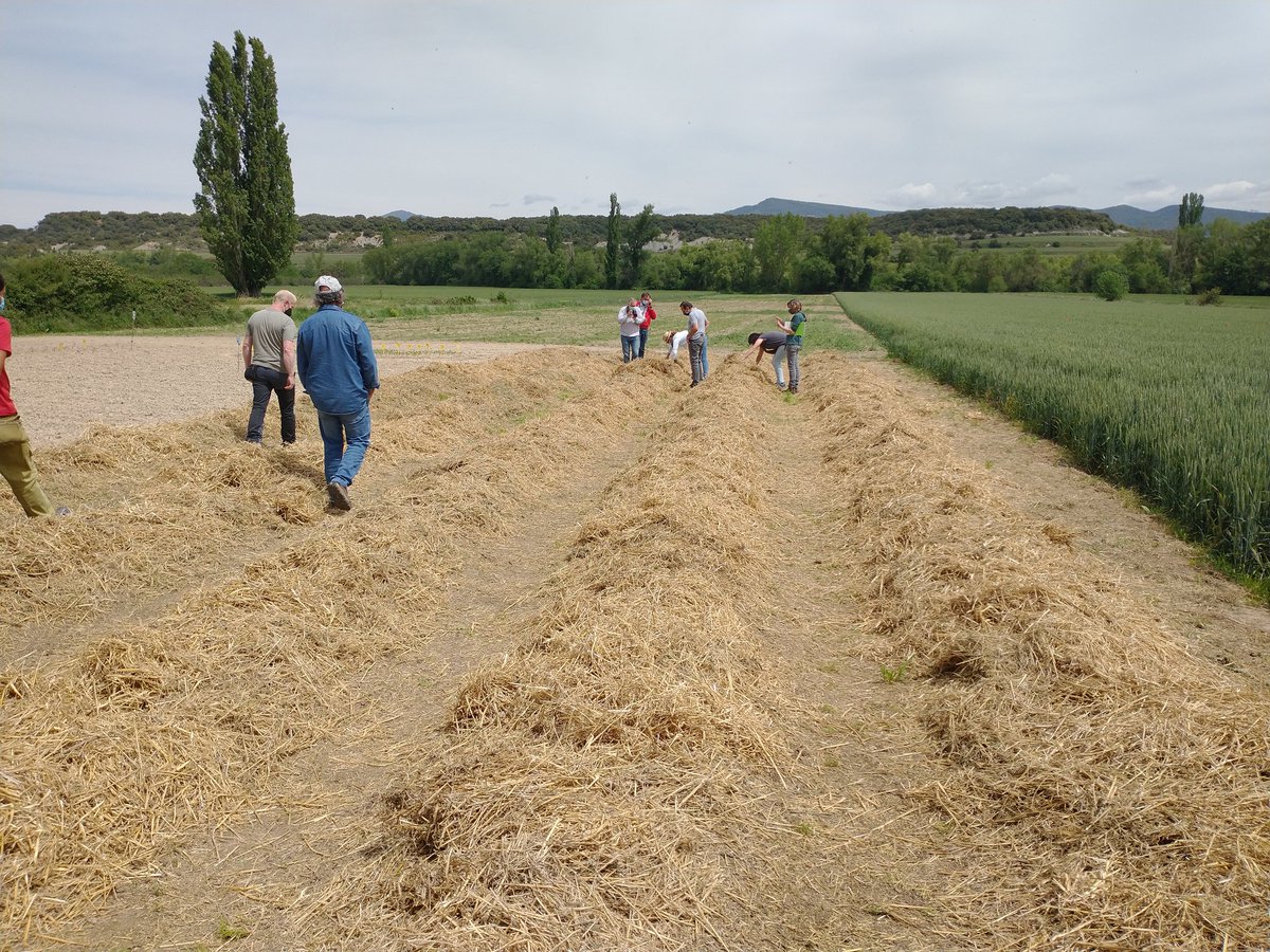 IFA DE JACA INSTITUTO de FORMACIÓN AGROAMBIENTAL tweet media