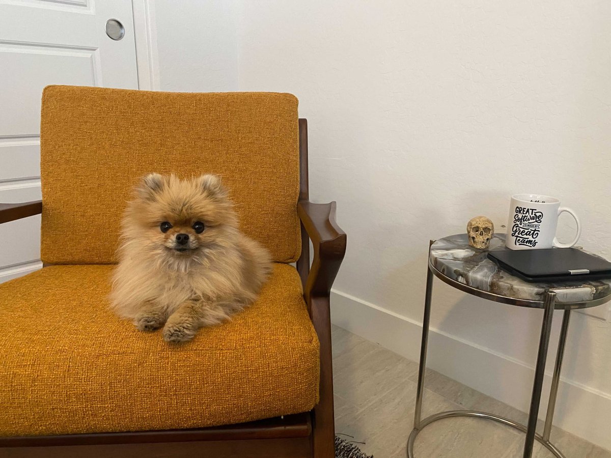 testdouble's tweet photo. No joke: pets at Test Double get their own slack channel. What Dayton Nolan loves about 100% remote at Test Double: Muffin! (You and your pets are welcome. https://t.co/AoVzdNQjVG) #RemoteWork #SoftwareEngineering #SoftwareDevelopment #TestDouble https://t.co/jpyRQ4VnBT