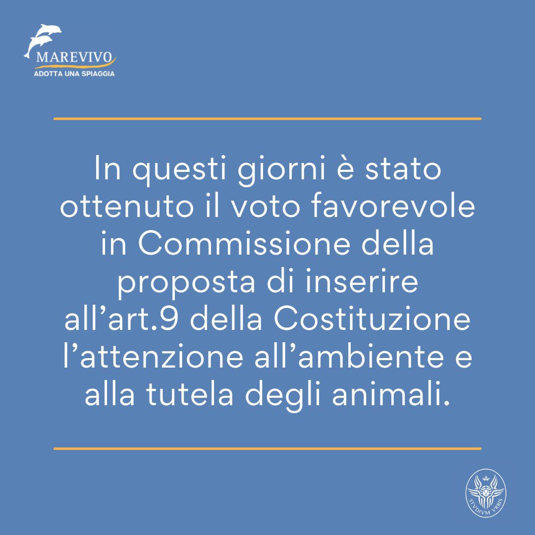 SapxMarevivo's tweet photo. #AdottaUnaSpiaggia e partecipa al #cambiamento 🐟🌊

@MarevivoOnlus #marevivo #smm21 #social4social https://t.co/363KaGFqHk