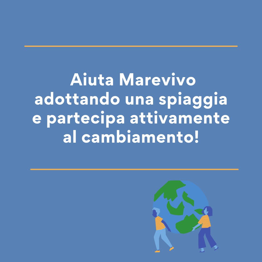 SapxMarevivo's tweet photo. #AdottaUnaSpiaggia e partecipa al #cambiamento 🐟🌊

@MarevivoOnlus #marevivo #smm21 #social4social https://t.co/363KaGFqHk