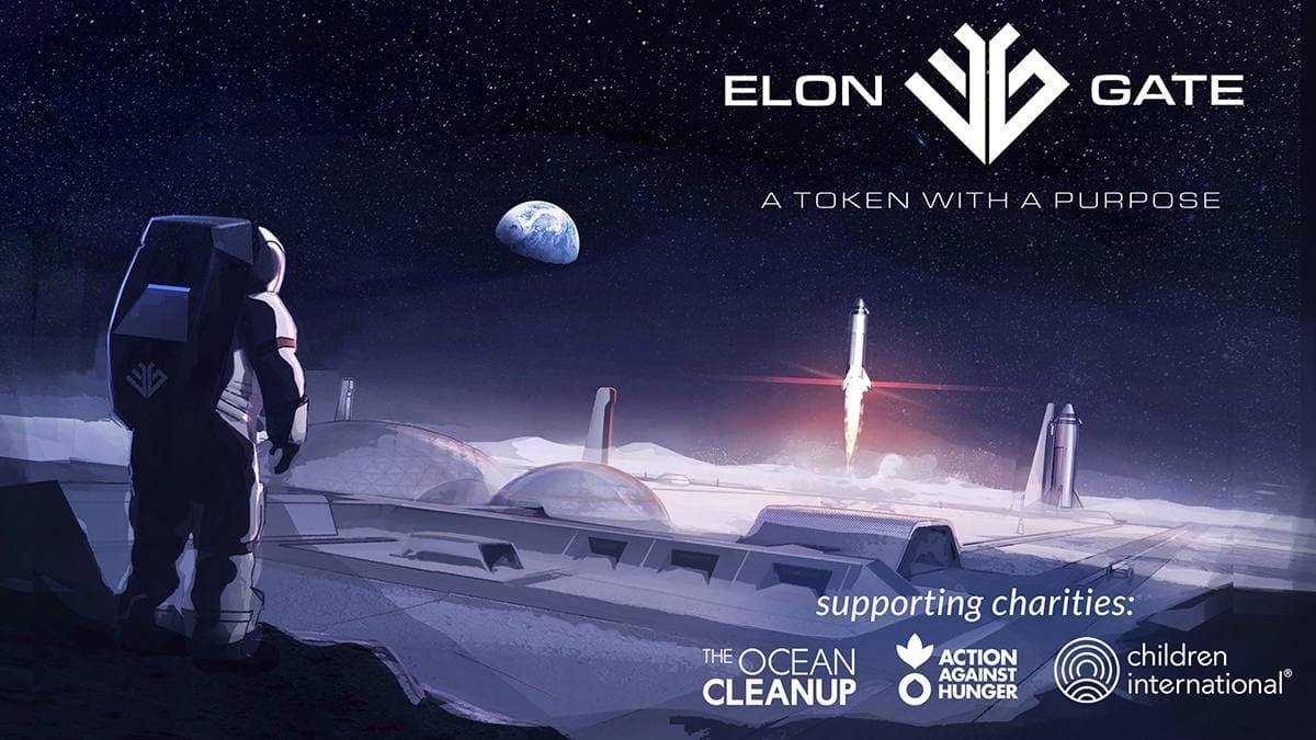 rainscrypto tweet media