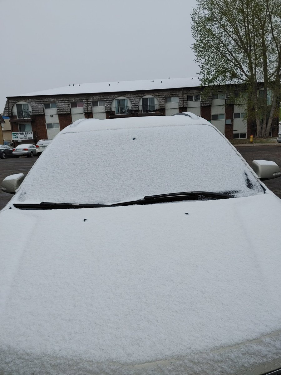 Big_G_09's tweet image. Tough to wake up to freezing temps and snow 🌨️ in #Saskatoon 🇨🇦 after it was just 32 c 90 f the other day 🤦🏻‍♂️ #CanadianProblems #skstorm @PQuinlanGlobal @weathernetwork