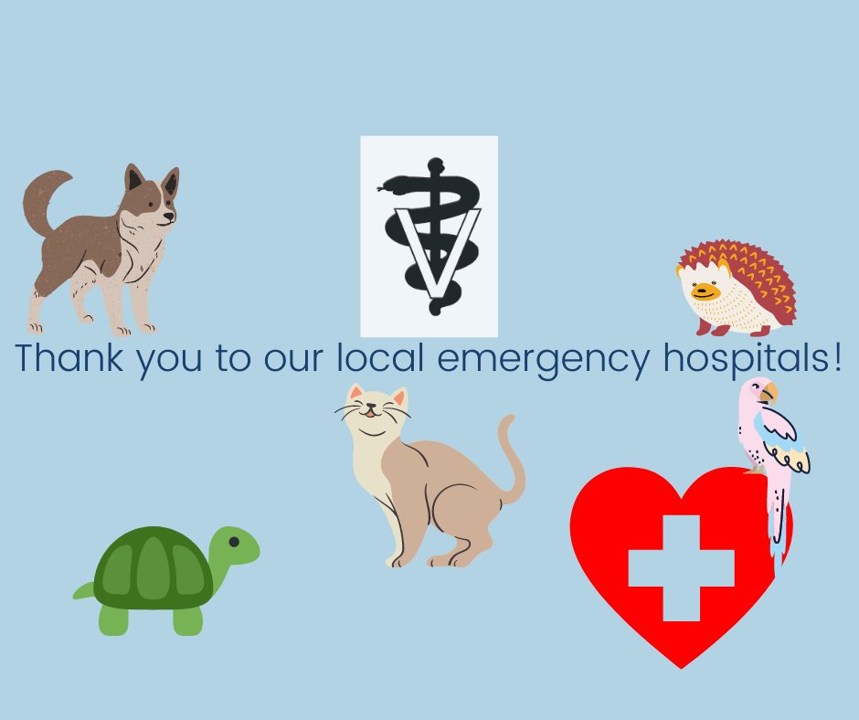 StowKentAnimalHosp tweet media