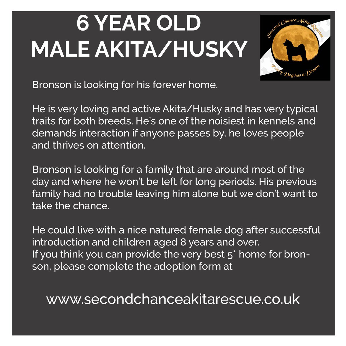 If you feel you can offer Bronson, or any of our Akitas a five star home, why not visit our website and complete an adoption application? #rescueakita #akita