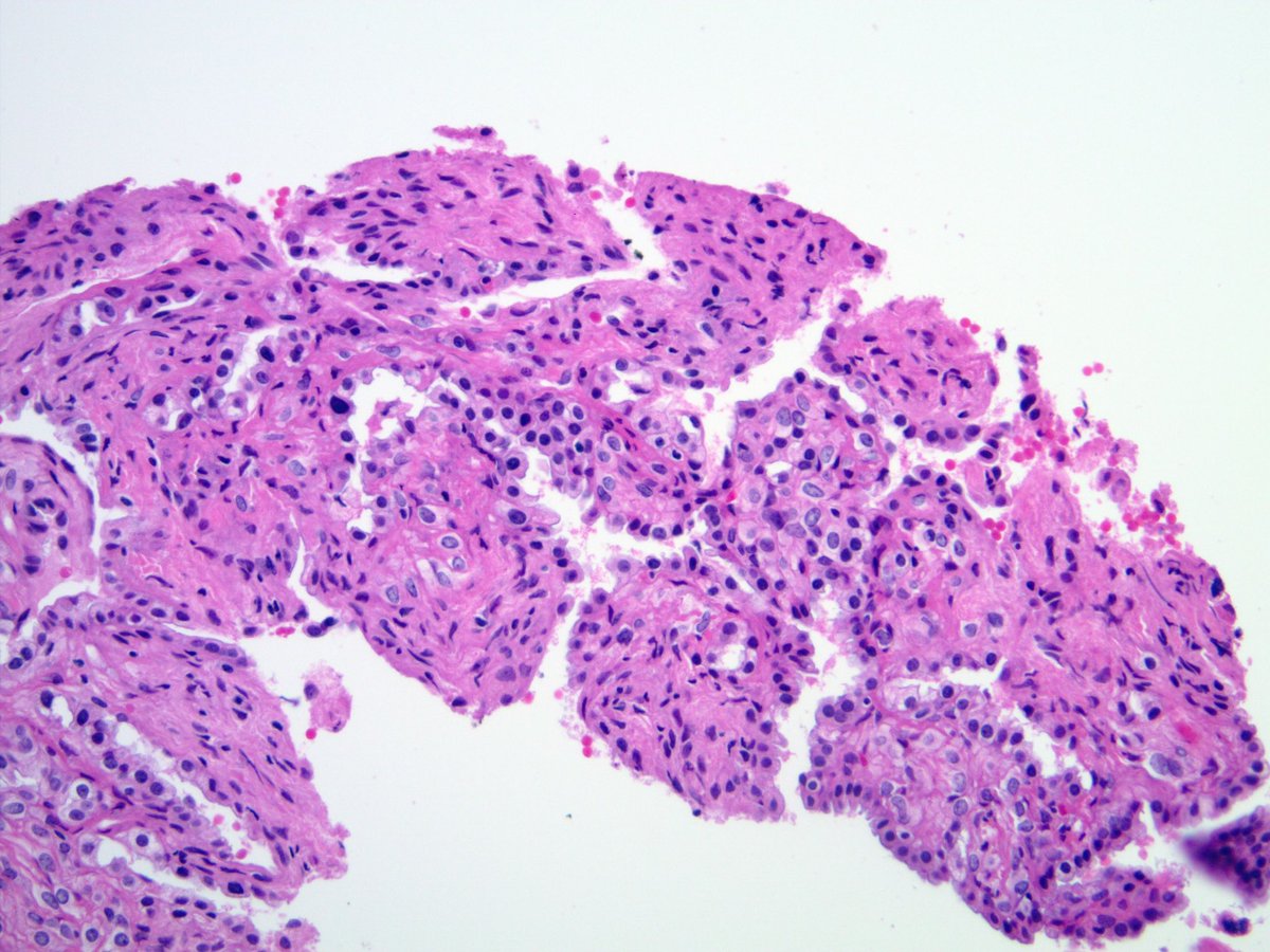 Sanjay Mukhopadhyay tweet media