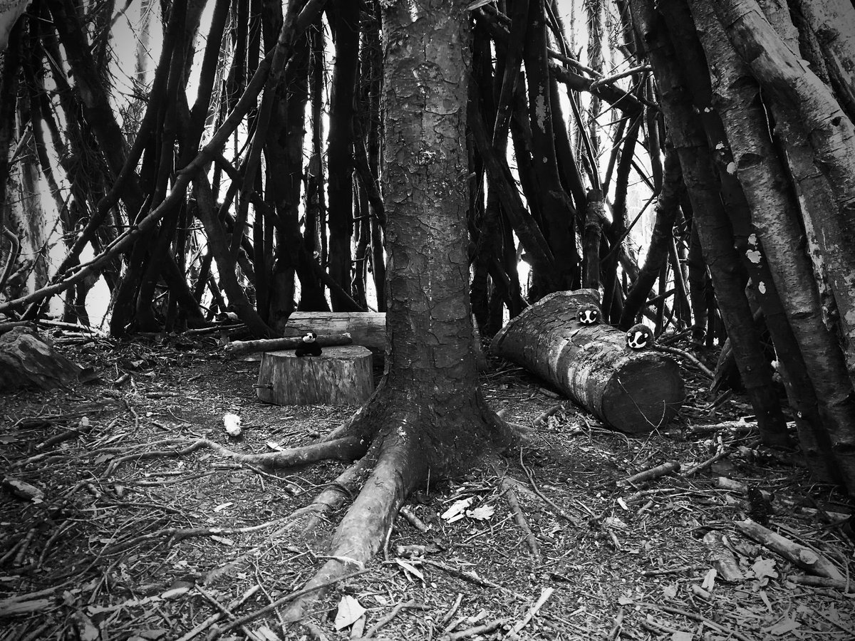 Sheltering

#badger #bw #bnw #bnwphotography #bnwphoto #blackandwhitephotography #blackandwhitephotos #blacknwhite #bnw_photo #blackandwhiteonly #bnwcaptures #bnw_fanatics #bnw_society #bnw_addicted #photooftheday #picoftheday #shelter #tree #survivalshelter