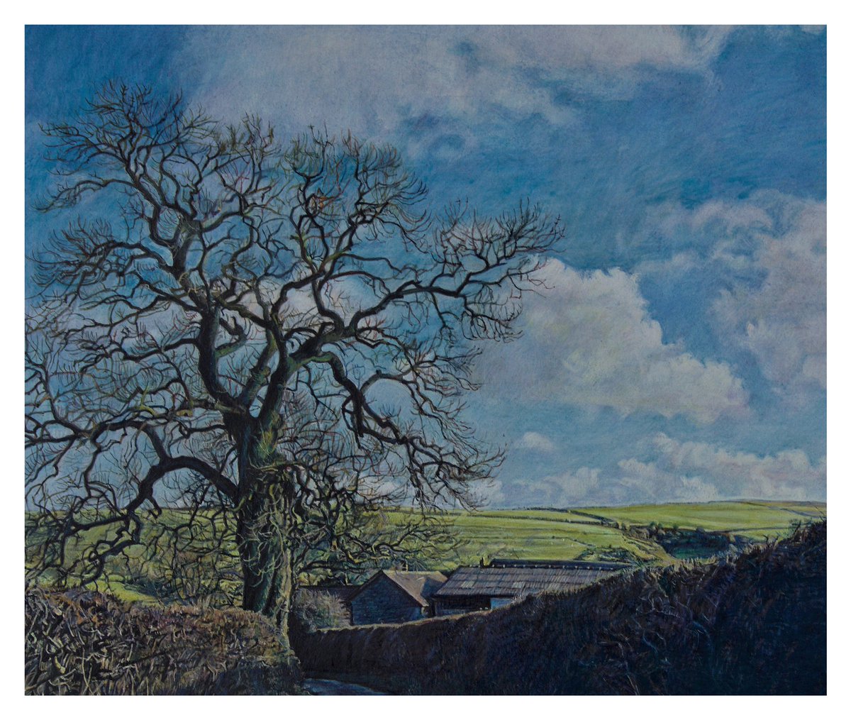 SarahMHarding's tweet photo. Egg tempera painting from a few years ago of the tree in my photo. #painting #tree https://t.co/7TmqU8Jnzd