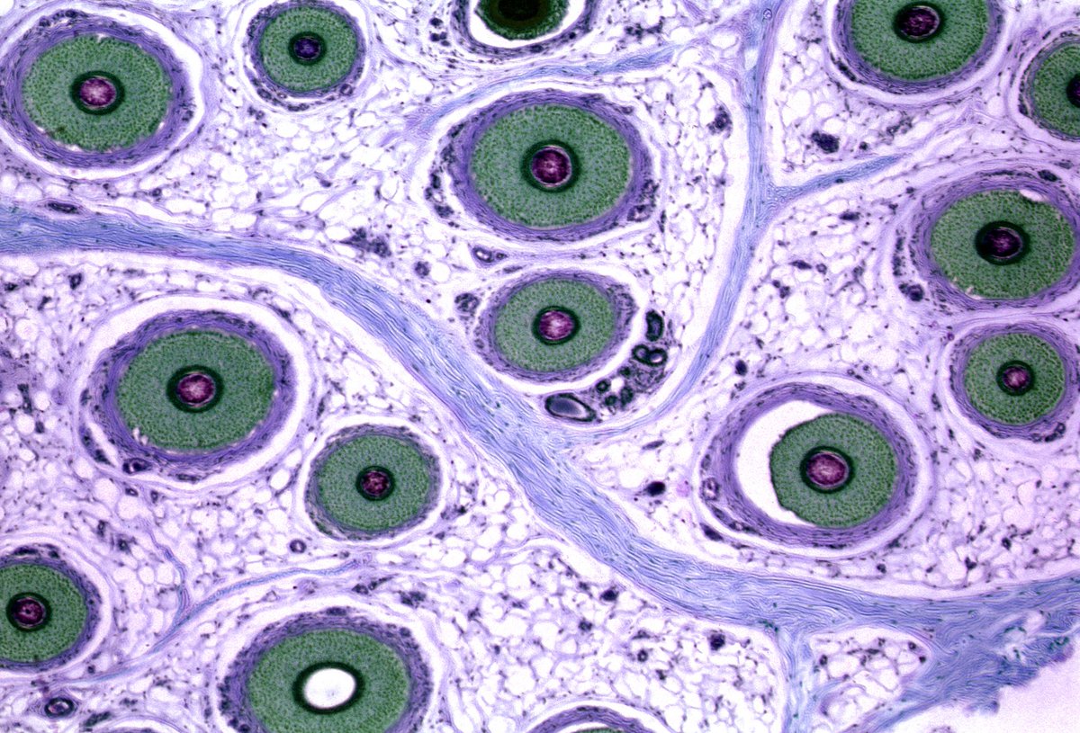 OxfordSparks's tweet photo. 📣 Creatives, scientists & tech lovers: Test & grow your skills with the #MakerJam challenge! At this exciting online gathering you will develop a creative project inspired by the @humancellatlas & attend amazing talks. 9 -18 June | Info & sign up here: https://t.co/JWAghQjFnp https://t.co/1HE7YAjgkQ