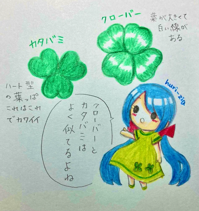 【ゆきちゃん☆ちょっこ豆知識】
カタバミとクローバーの違い🍀
よく四つ葉のクローバーに間違えられるカタバミ。葉っぱがハート形なのでこれはこれで可愛いです✨
#クローバー #カタバミ #イラスト #リトルゆきちゃん 