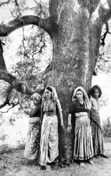 gramasevasangha's tweet photo. We @GramSevaSangh is committed to that, hoping you to join us in this journey!
Our heartfelt condolences to #SundarlalBahuguna.
:
#RIPSundarlalBahuguna #ChipkoMovement
#ChipkoAndolan #Appiko #Forest #environmentalist 3/3 https://t.co/2aSvRPbovt