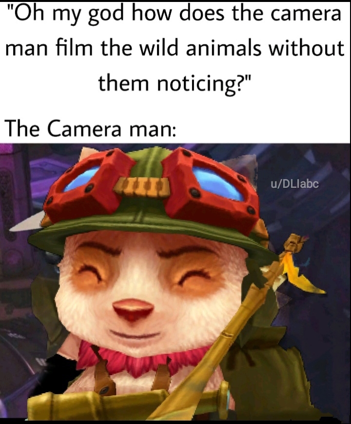 league of legends meme teemo