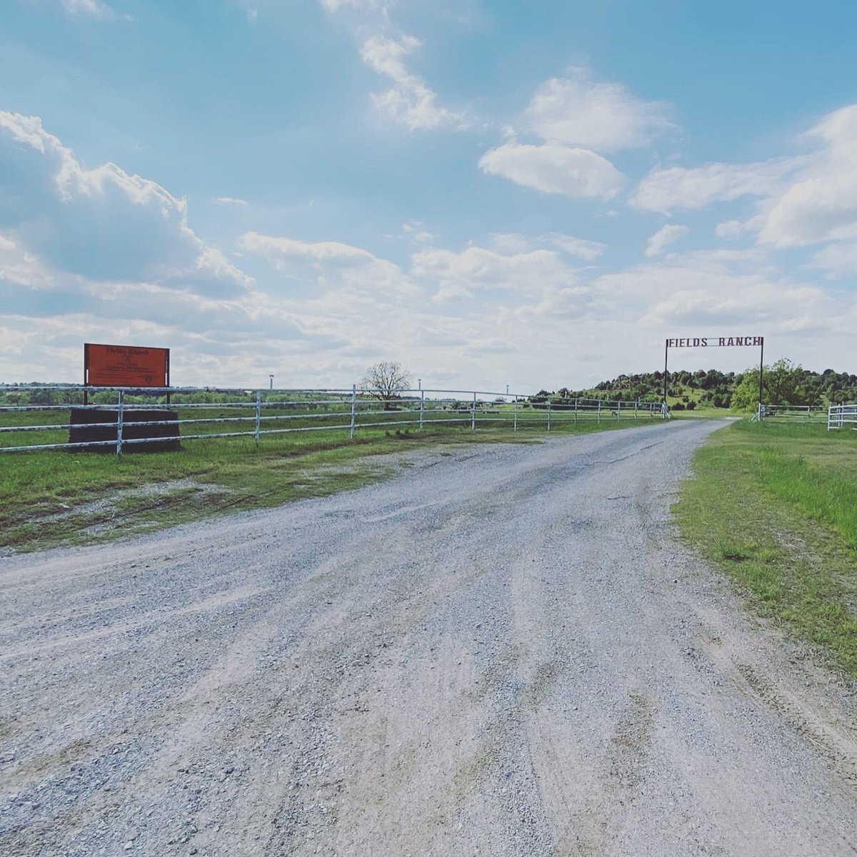 OKCattlemen's tweet photo. Check out the Fields Ranch's orange customized OCA ranch sign at the entry of the ranch!  Order yours today and support the Oklahoma Cattlemen's Foundation Disaster Relief Fund.
.
Order your sign at https://t.co/J7x5MAGFu5.
.
#FoundationFriday #RanchSign #represent https://t.co/QS2GAQMep2