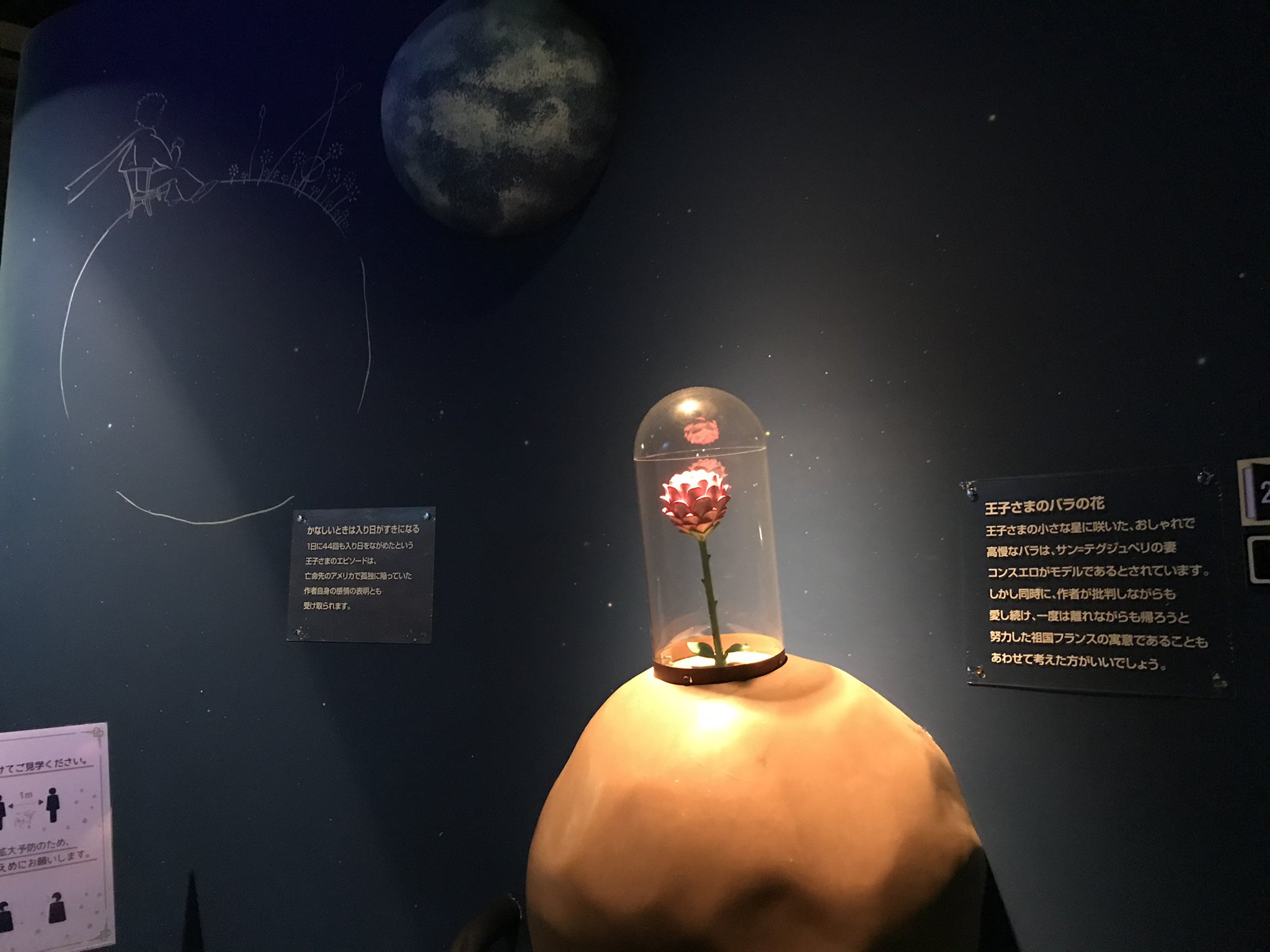 イチカワミズホ パティシエ 去年の秋にやっと星の王子さまミュージアム行けて サンテグジュペリの生涯を体験したばかりだったので 星の飛行士を見ていてもアッこれはこの前見たぞ ってワクワクしちゃったな やっぱり星の王子さまは人生のバイブルだなぁ