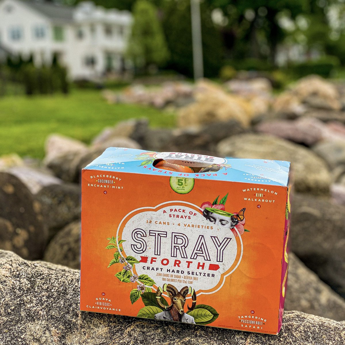 StrayForth's tweet photo. 🌞and seltzer are a match made in heaven. Enjoy the warm weather with a #PackofStrays! #strayforth  #crafthardseltzer #hardseltzer #madisonwi #100calories #zerocarbs #zerosugar #glutenfree #wheredoyoustray https://t.co/WMJMqnXhBo