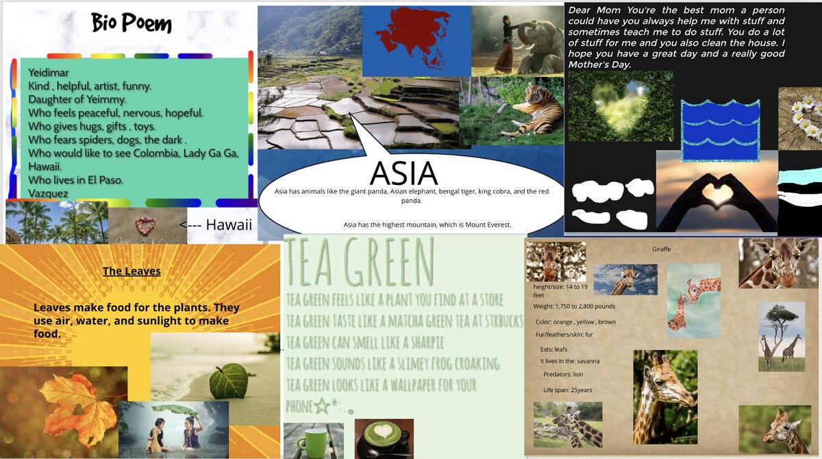 Claudia Helmling tweet media