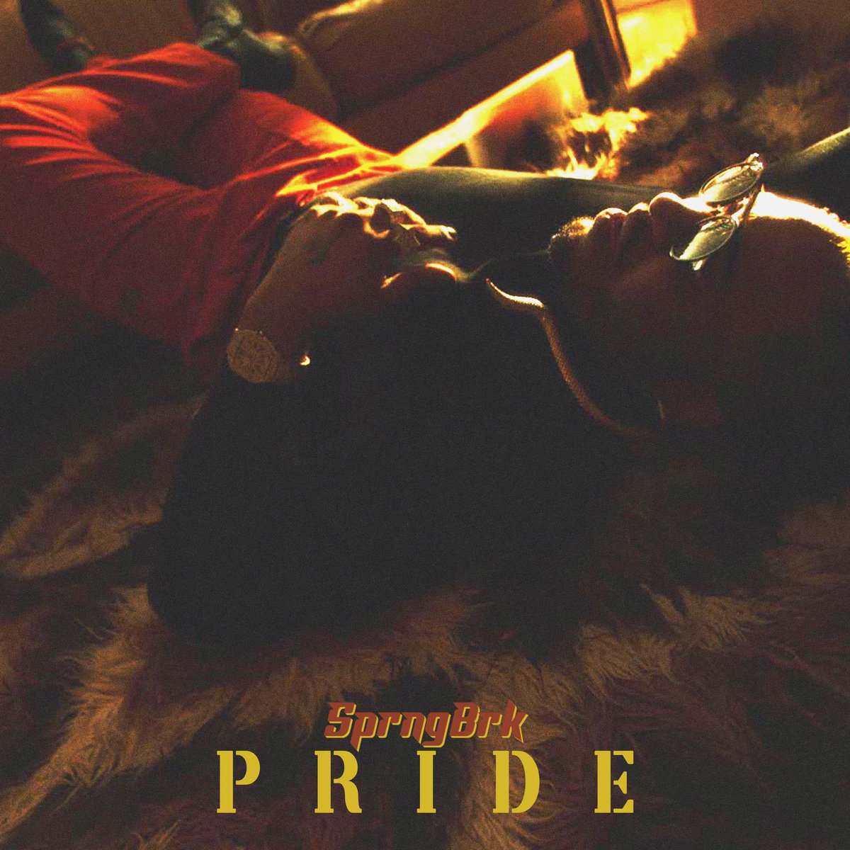 My new single “PRIDE” will be dropping on Tuesday, May 25th. Can’t wait to show everyone what I’ve been working on. This a whole new chapter 🙏🏽 Pre-order here fanlink.to/sprngbrkpride