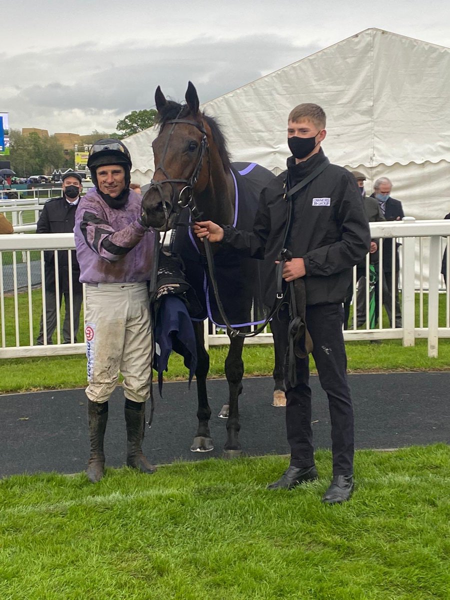Dan Skelton Racing tweet media