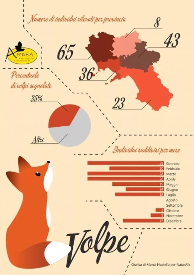 ardeaonlus's tweet photo. Domani #22maggio sarà la giornata #internazionale della #biodiversità: una parola che spesso viene utilizzata solo per condire gli intenti, e raramente per descrivere fatti ed azioni.
Da 10 anni #Ardea s’impegna per tutelare la #Biodiversità
#bird #birdwatching #bio https://t.co/3unZZ5zpwc