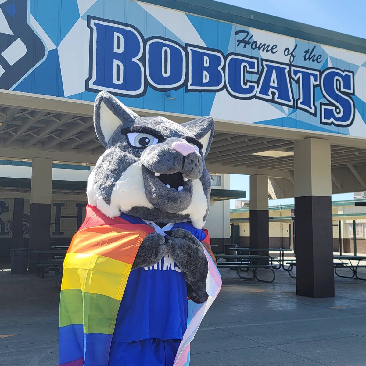 RhmsBobcats's tweet photo. RHMS raised the progress flag today and commits to providing a safe and inclusive space for all. #harveymilkday #pvusdcares #bobcats https://t.co/qUOp7PF3iS