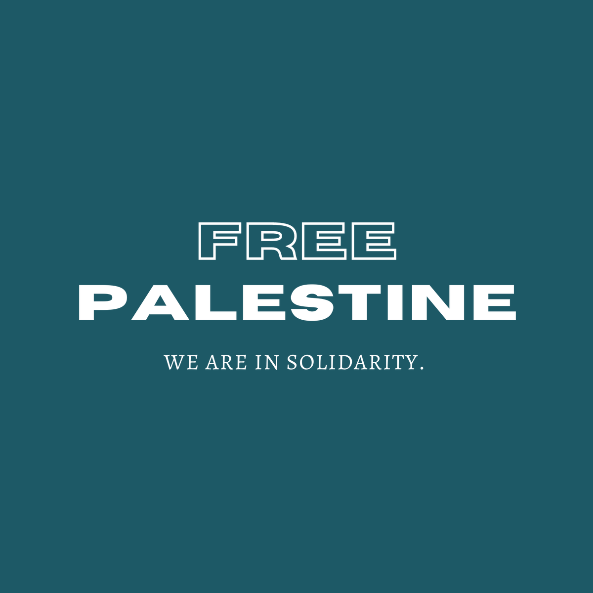 Mvmt_Network's tweet photo. #FreePalestine We are in solidarity. What is happening in Palestine is an act of ethnic cleansing and a human rights violation. https://t.co/WbzBLhAV5v