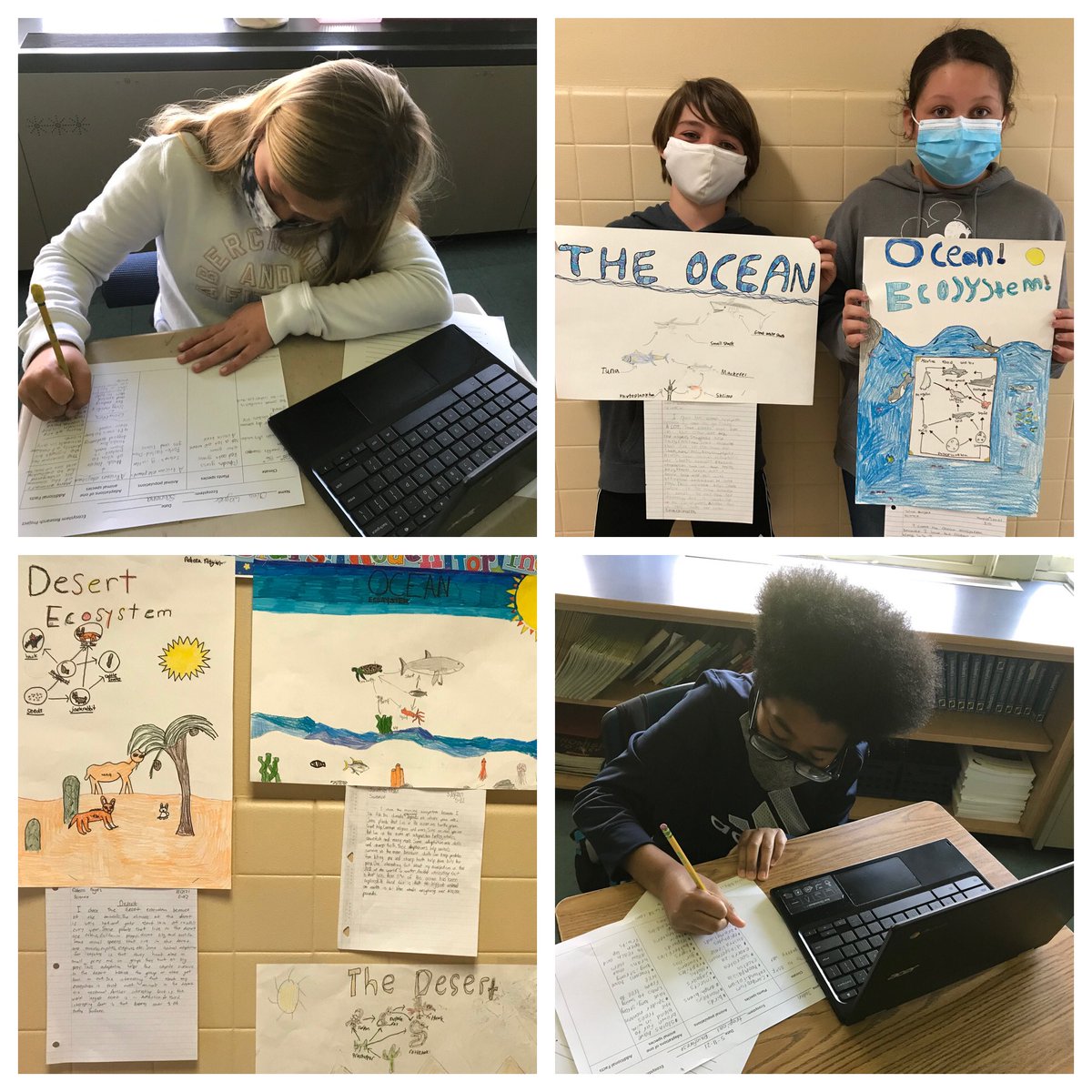 MsPurkis's tweet photo. 5th graders did a fantastic job researching and presenting their ecosystems! @EMorichesMS @EMorichesES https://t.co/fdAB9kyWwr