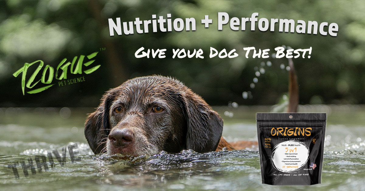 RoguePetScience's tweet image. Origins 5in1 from Rogue is proven to improve nutrition &amp;amp; performance. Give your dog the BEST. If you haven't tried Origins yet, now's the time: ow.ly/6zz050ESF9k

#naturaldogsupplement #canineguthealth #petsupplements #welovedogs  #realpetscience #dogs