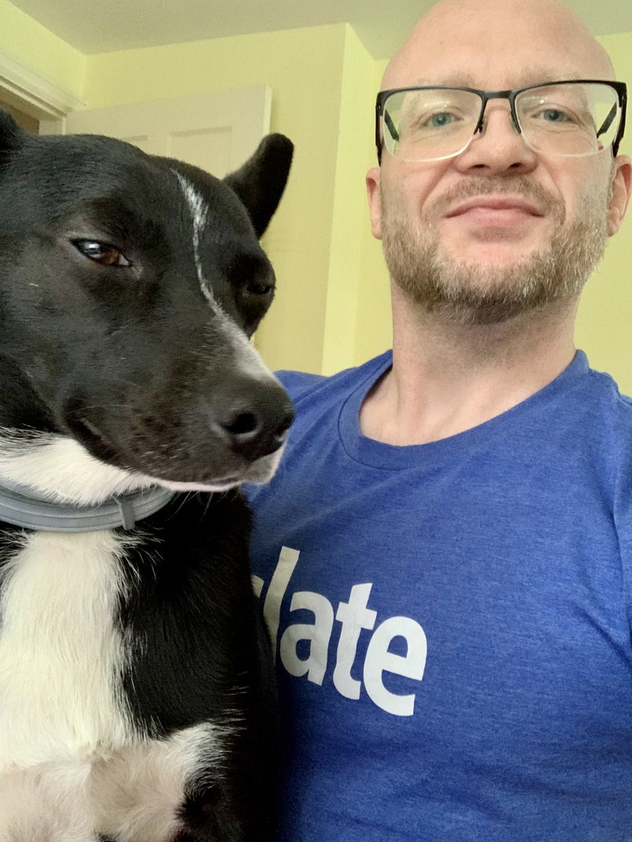 coryjmeyers's tweet photo. It’s Friday and we’re working on the @Technolutions #Slate implementation… #dogs #Admission #admissions #enrollment #dogsinenrollment https://t.co/ZLZFemmMbu