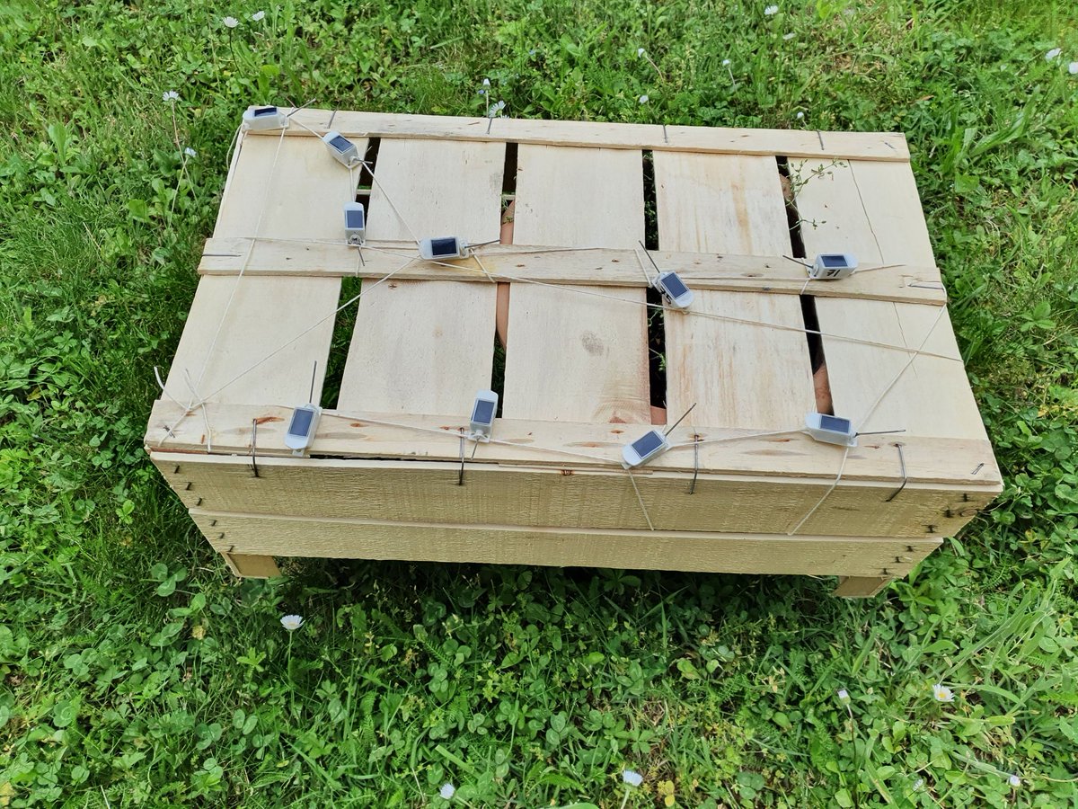 JGCecere's tweet photo. @joanne_morten @TheSeabirdGroup Charging up the solar powered GPS loggers ready for deployment on #GullBilledTerns, come out sun! #biologging #fieldworkprep #seabirds ππ https://t.co/L7Q7BMkHom