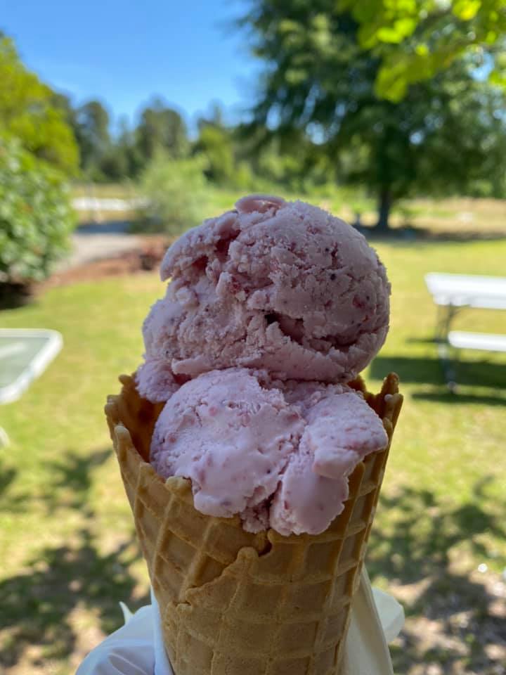 ASPSMGT's tweet photo. Isn't this the perfect #Friday Picture ❓❣️
All Seasons Property Solutions, LLC 🌎 https://t.co/yjpkm0UHO7 🌎
#HOAManagement #MooreCountyNC https://t.co/AiPYsbkpQX