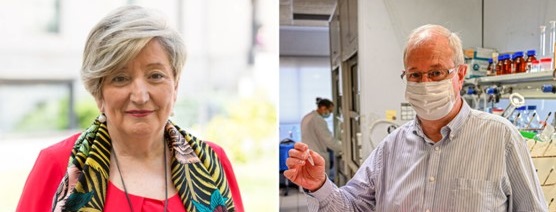 IDM_UPV_UV's tweet photo. Ramón Martínez Máñez, investigador del @IDM_UPV_UV  y Ana LLuch, investigadora del @incliva_iis  han desarrollado un nuevo biosensor para el diagnóstico temprano de cáncer de mama.
https://t.co/mSlahkJdHo https://t.co/nyQxsPg7rF