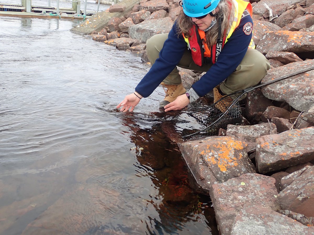 Curtis Pennell tweet media