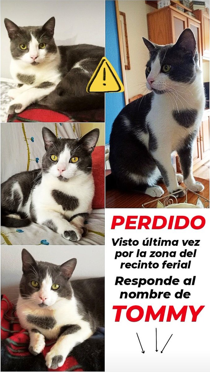 _mariaa10_'s tweet image. 