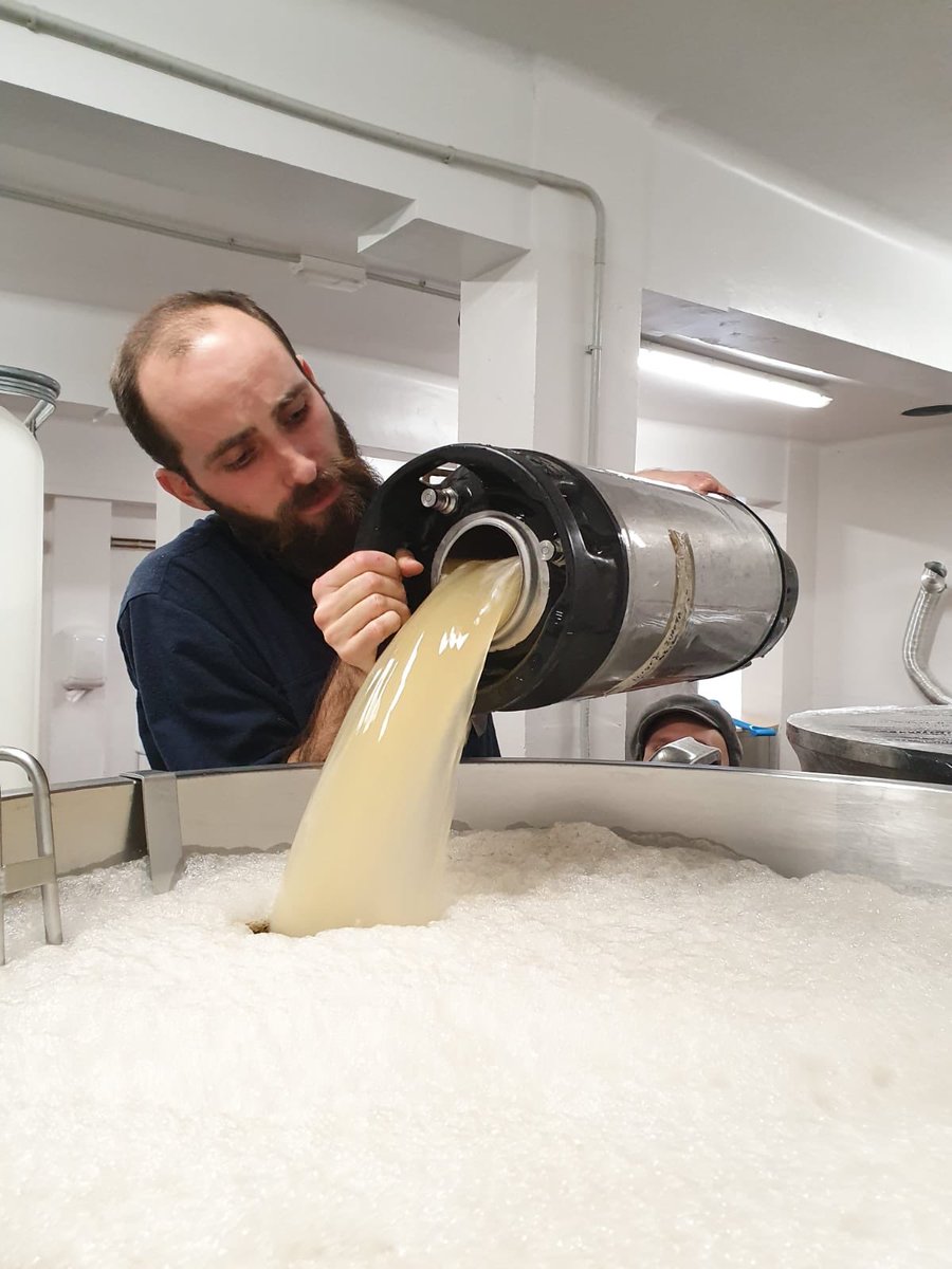 NUEVA 🍻🍊

ON RANGE ET BOIS / colaboración con La Malpolon 🔥🔥