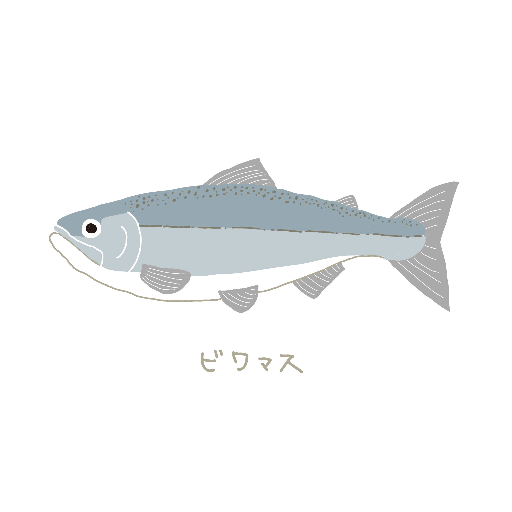 さや 滋賀県湖西琵琶湖近く 昭和の家リノベ びわくら 滋賀のいきものイラスト 琵琶湖 淀川水系に生息する固有種 ビワマス サケ科であり 全長70 ほどまで成長する個体もいるそう サーモンピンク色の身はどんな調理をしてもおいしいらしい 刺身