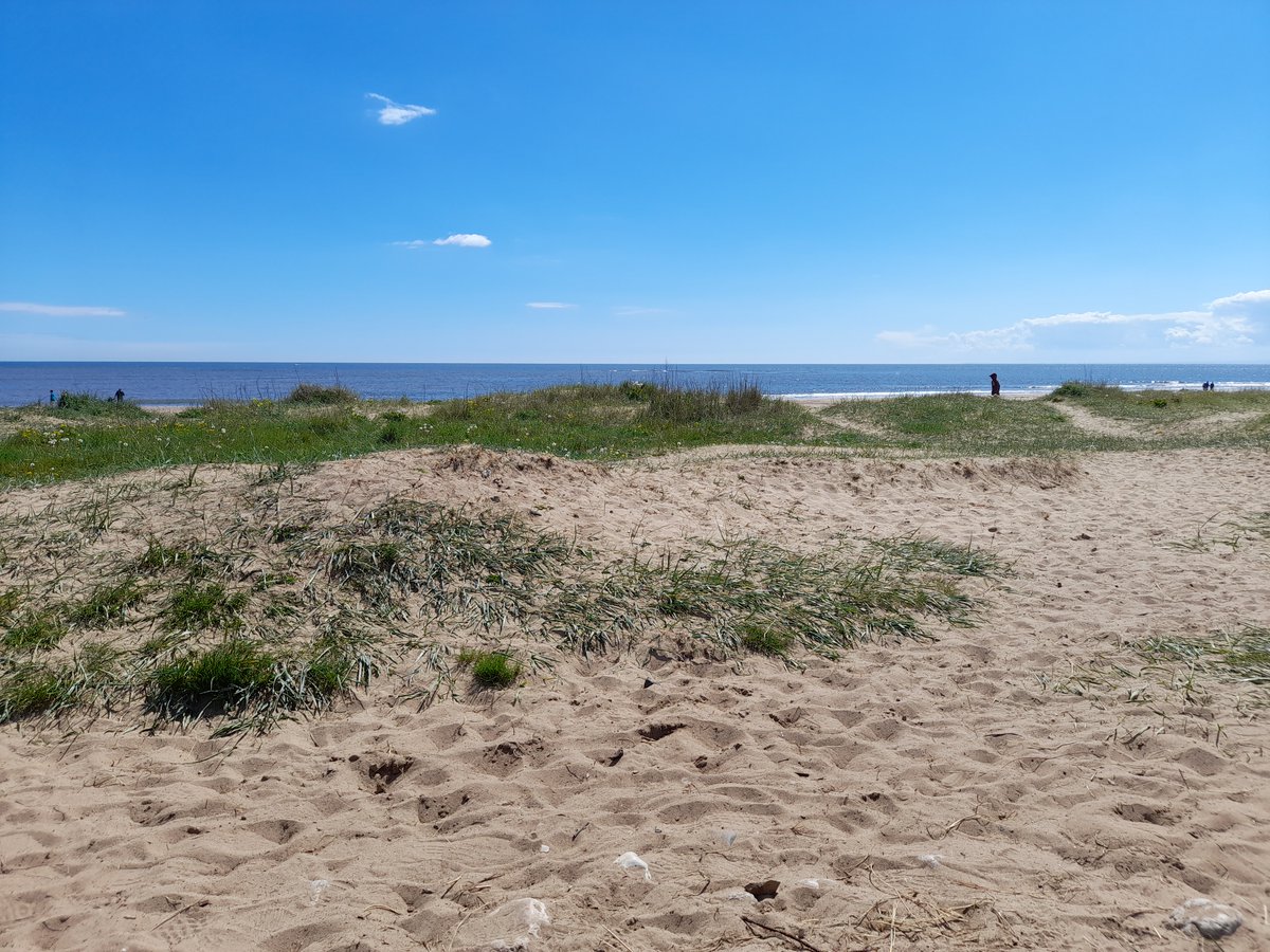 latimersseafood's tweet photo. ✨ Looking for something to do this weekend? See images for fin'spiration 😉
#Beach #Coastalwalks #Park #Propercoffee #Seafood #Handmadecakes #Freshlysqueezedorangejuice #Homemadelemonade 👌 https://t.co/8jO4aHsfpl