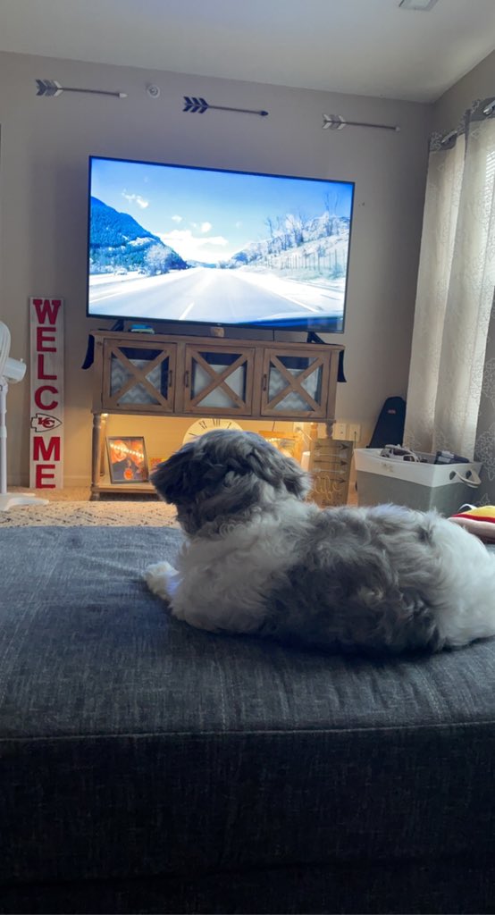 Tina Stegen tweet media